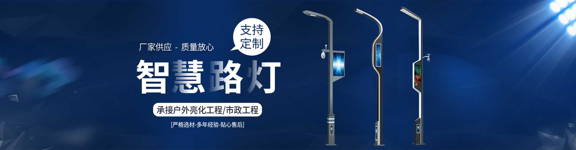 城厢区太阳能路灯定制厂家