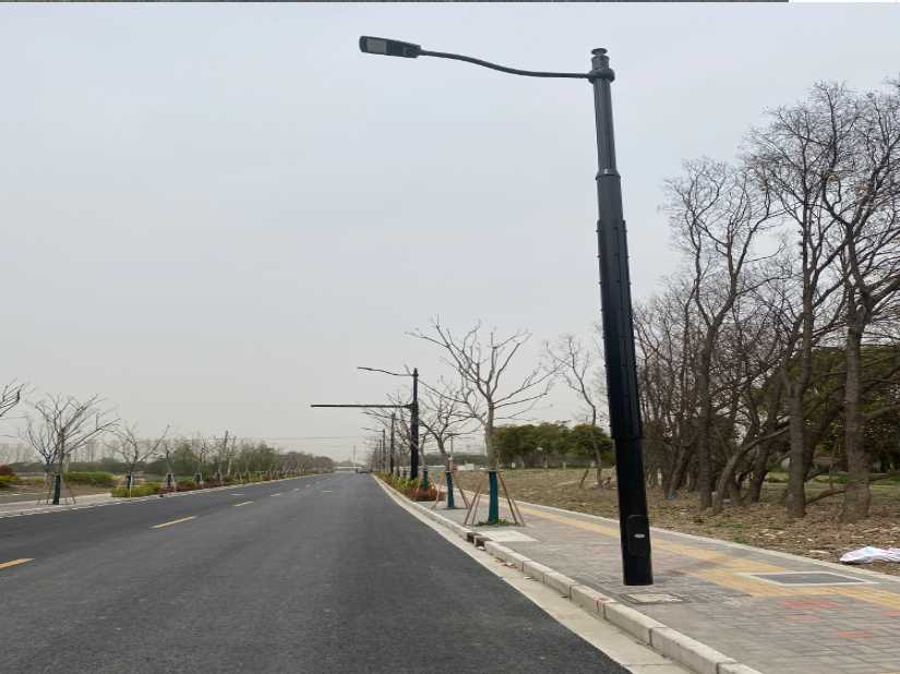 城厢区上海综合杆 太阳能路灯工程